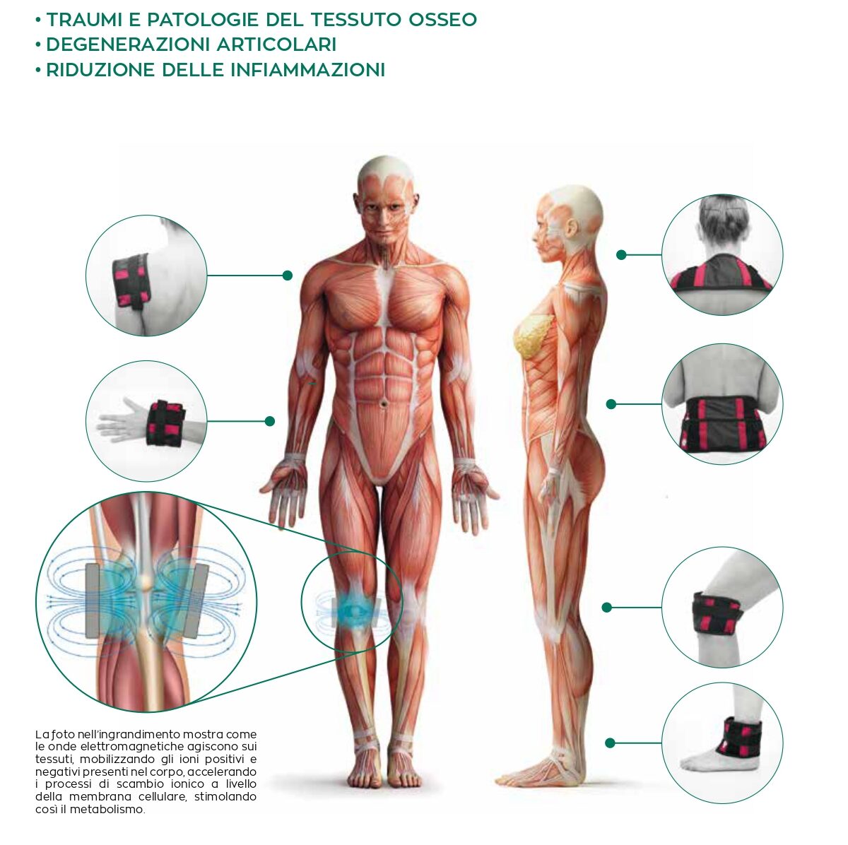 Magnetoterapia